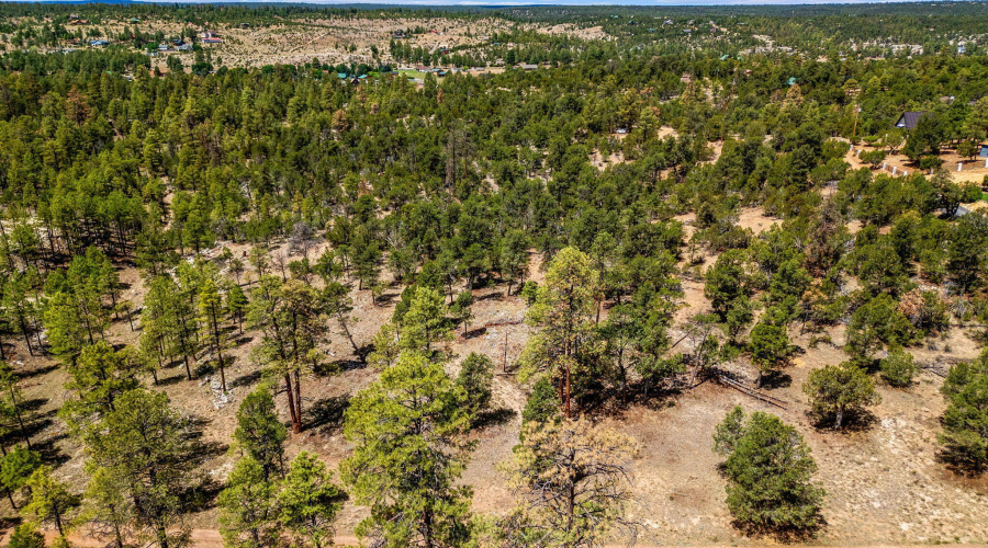 207-18-007H-HeberOvergaard-AZ-5