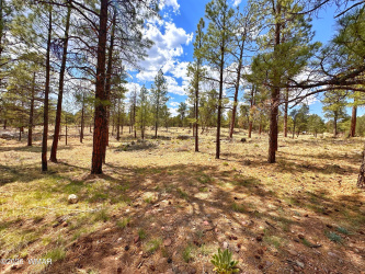 PAR 007H Chevelon Rd, Heber, Arizona 85928, ,Land,For Sale,Chevelon Rd,259749