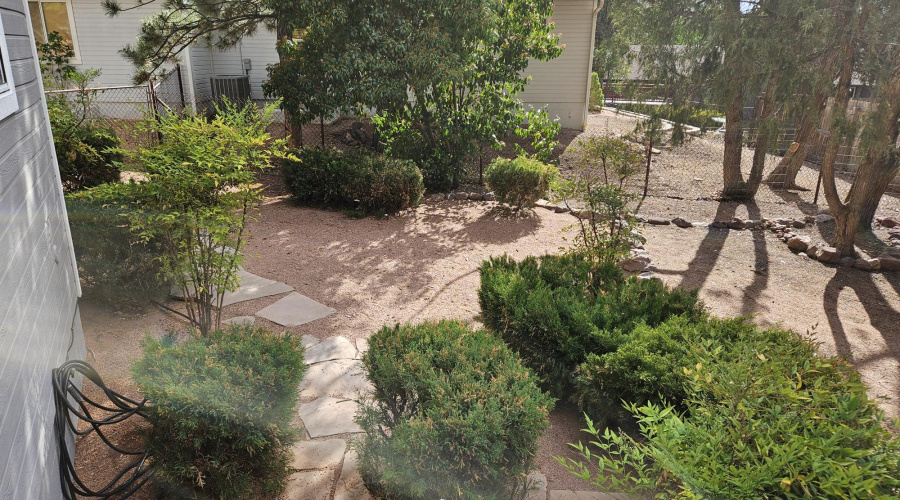 BACK YARD