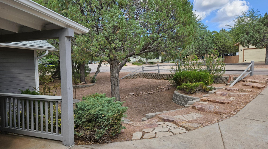 FRONT YARD 1