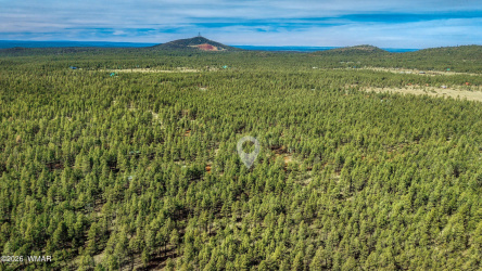 4.74 Acres Birdsong Way, Lakeside, Arizona 85929, ,Land,For Sale,Birdsong,259770