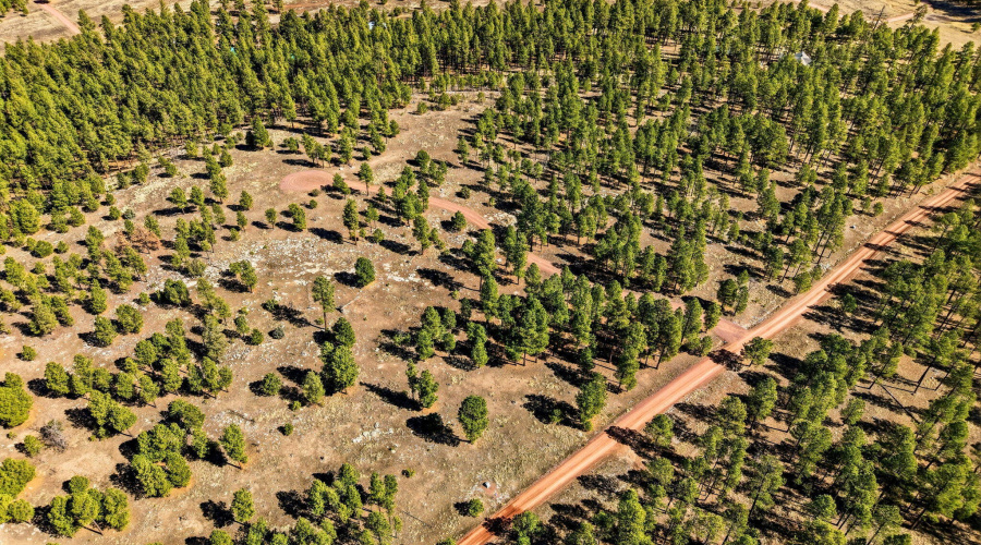 CoRdN2147-Alpine-AZ-10