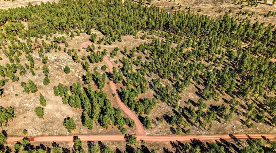 CoRdN2147-Alpine-AZ-11