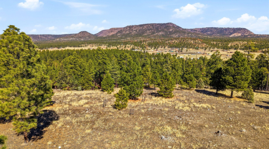 CoRdN2147-Alpine-AZ-13