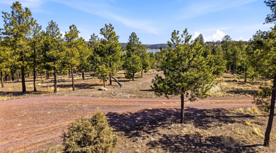 CoRdN2147-Alpine-AZ-16