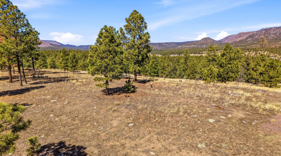 CoRdN2147-Alpine-AZ-17