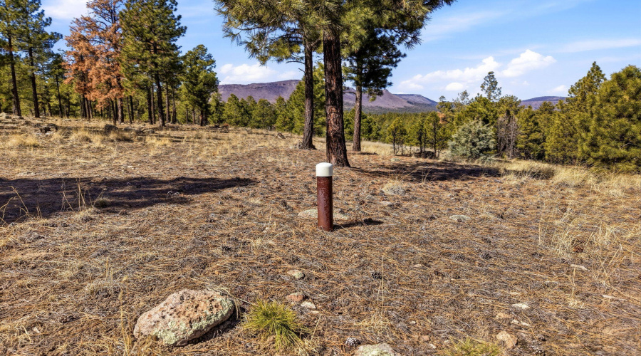 CoRdN2147-Alpine-AZ-18