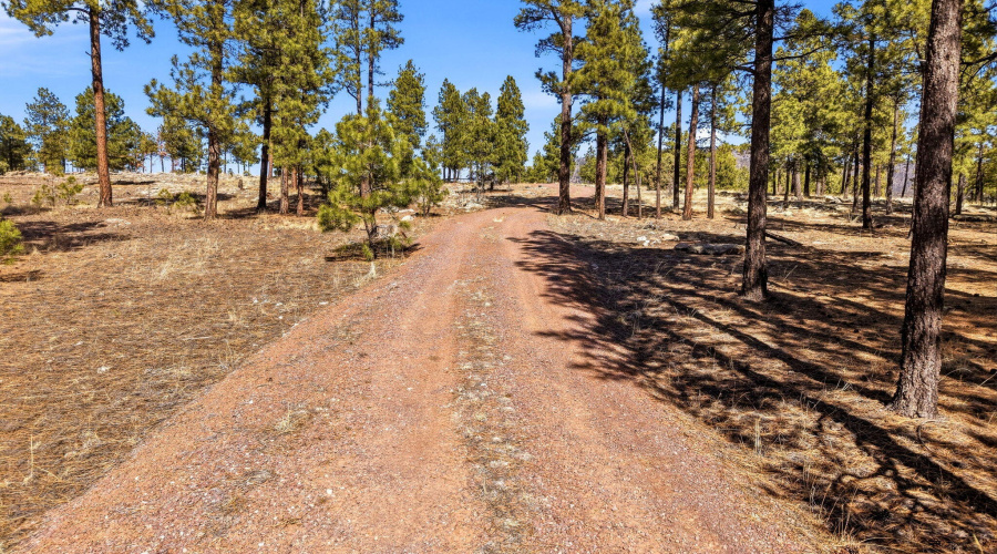 CoRdN2147-Alpine-AZ-19