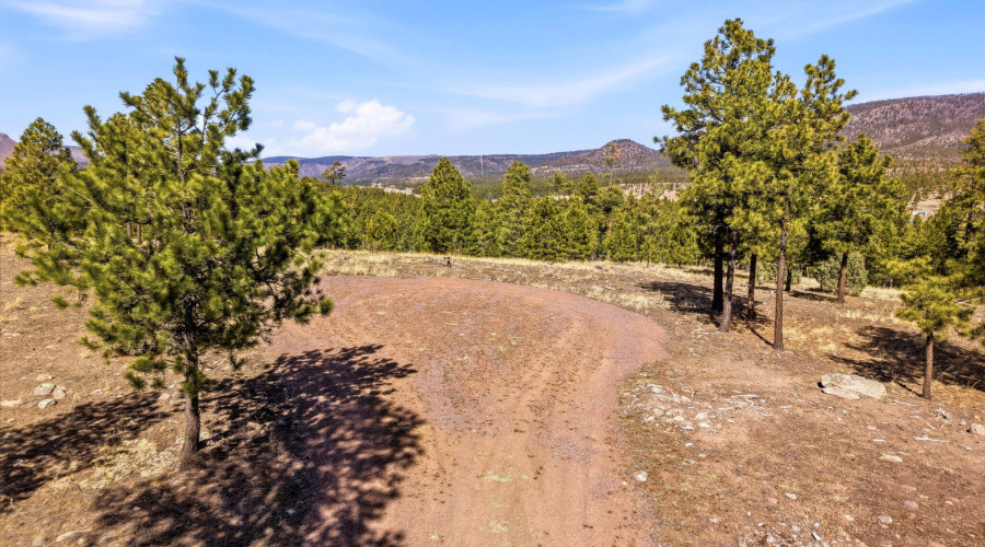 CoRdN2147-Alpine-AZ-20