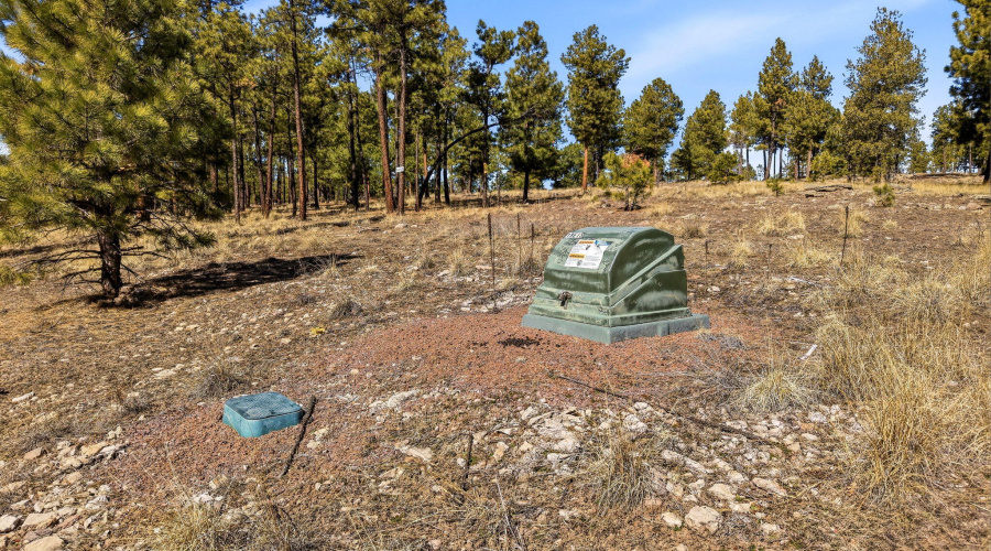 CoRdN2147-Alpine-AZ-21