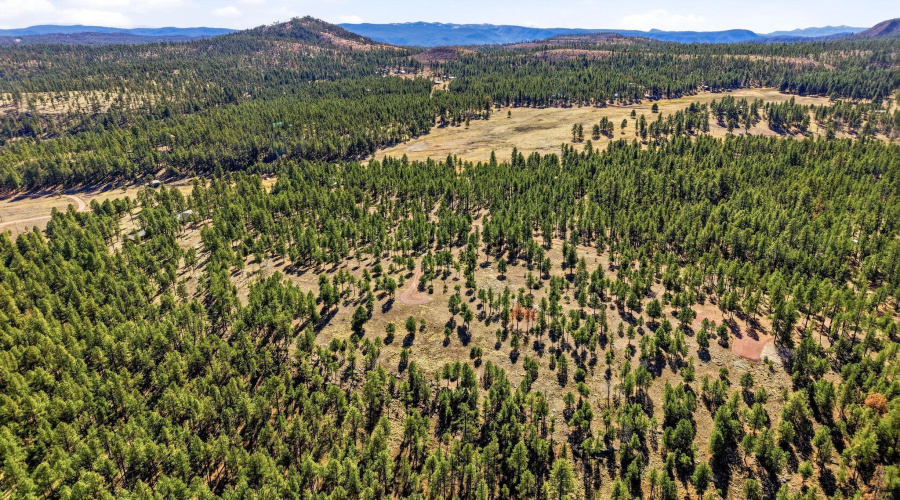 CoRdN2147-Alpine-AZ-5
