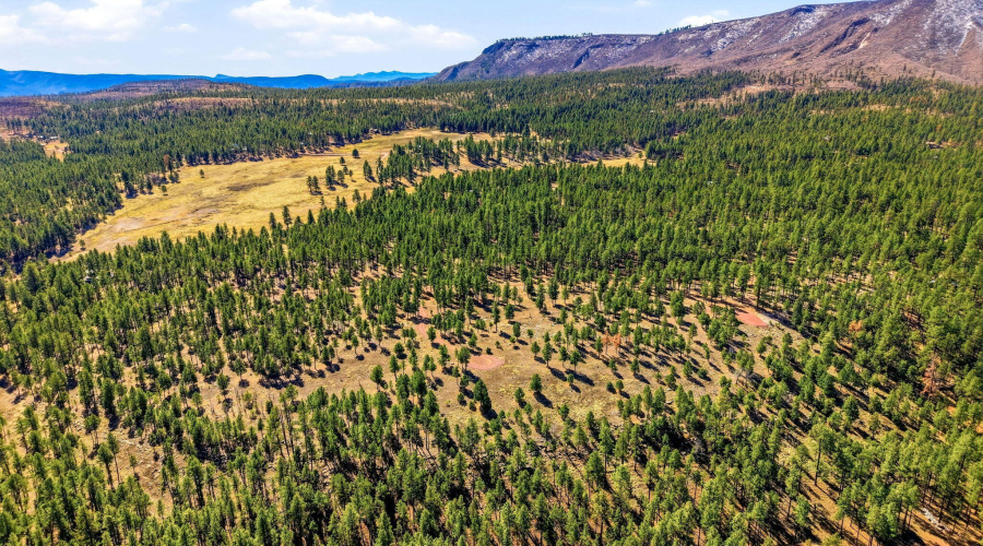 CoRdN2147-Alpine-AZ-6