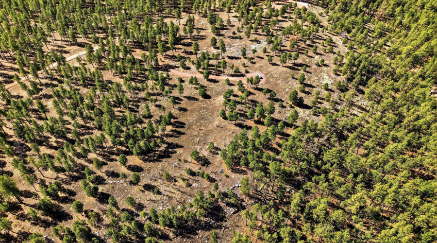 CoRdN2147-Alpine-AZ-8