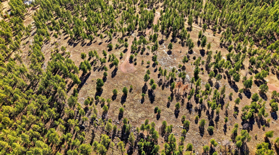 CoRdN2147-Alpine-AZ-9