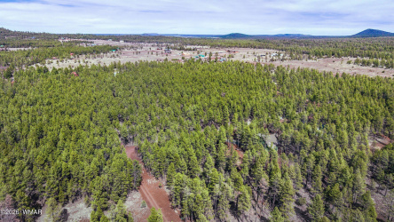 1 Acre Birdsong Way, Lakeside, Arizona 85929, ,Land,For Sale,Birdsong,259764
