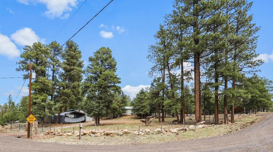 Corner View of Property