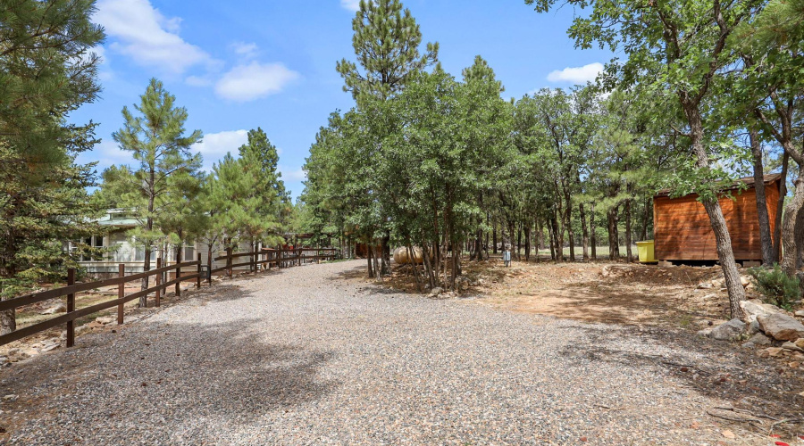 Circular Driveway