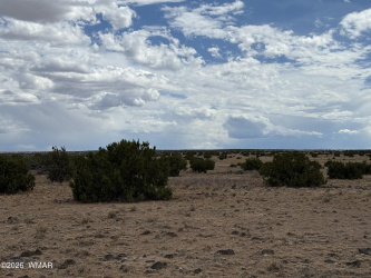 N6503 Elk Valley Ranch lot 21, St. Johns, Arizona 85936, ,Land,For Sale,Elk Valley Ranch lot 21,259761
