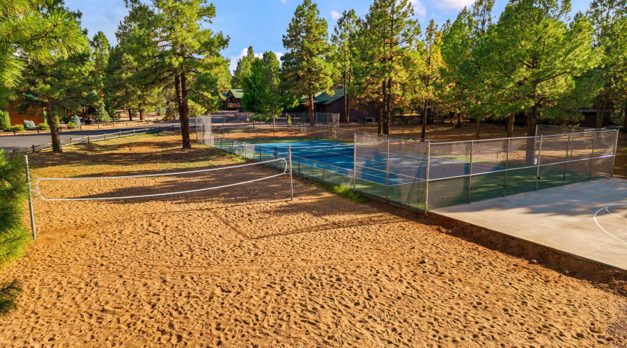 VOLLEYBALL