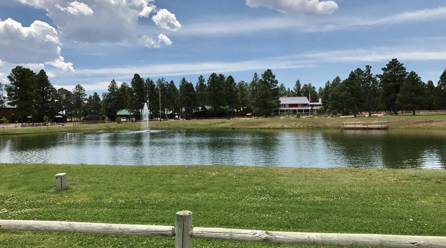 CATCH AND RELEASE FISHING