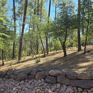 0.67 Acres
