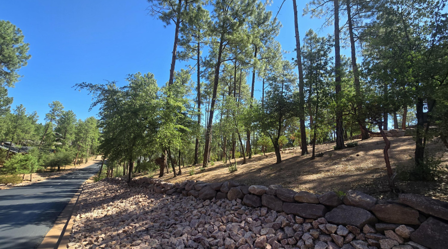 Lot 525