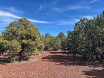 Lot 86 Ricks Road, Vernon, Arizona 85940, ,Land,For Sale,Ricks,259781