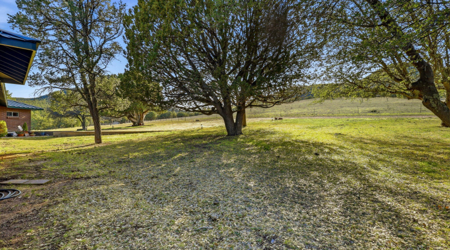 Front Yard Lkg SW