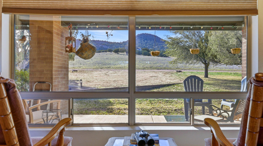 8 Front Yard View thru W Picture Window