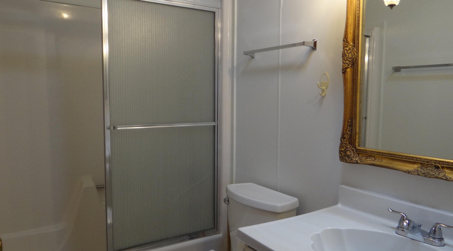 Hall bath