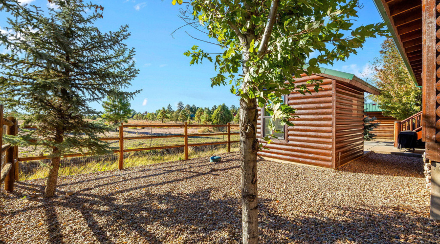 SIDE YARD