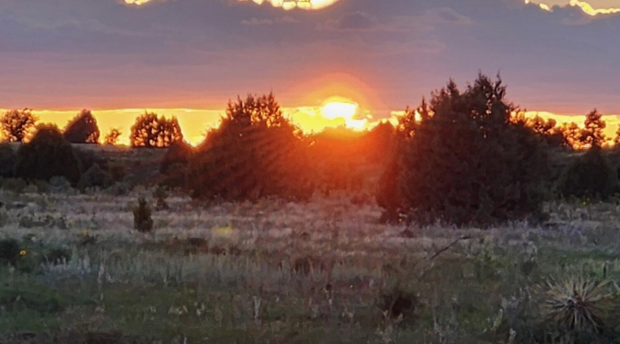 BEAUTIFUL SUNSET TAKEN FROM THE GAZEBO