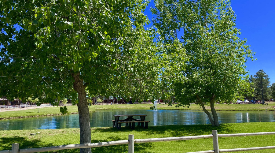 BEAUTIFUL PARK AREA
