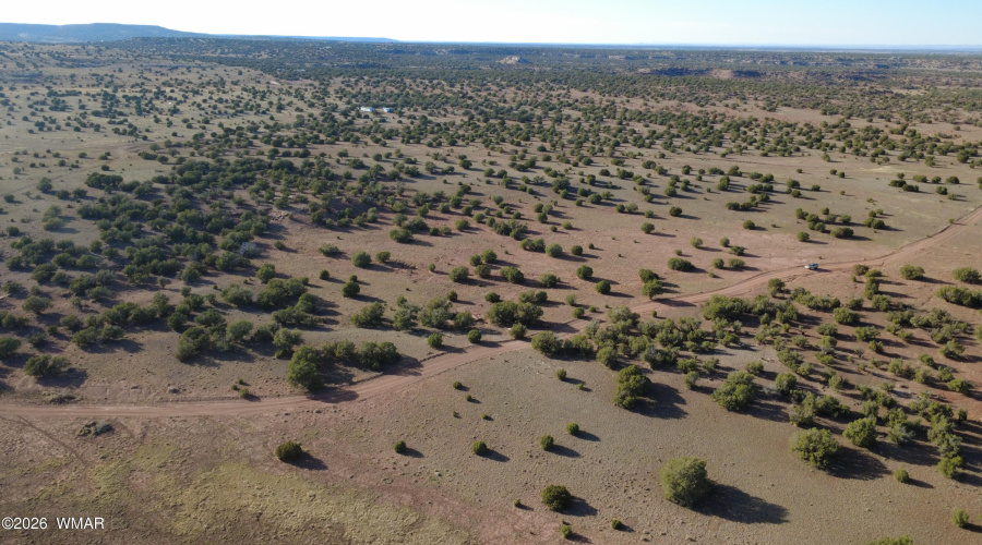 DJI_0471