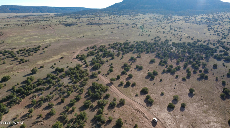 DJI_0473