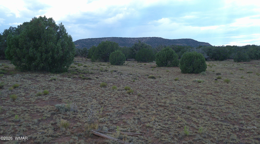DSCF0026