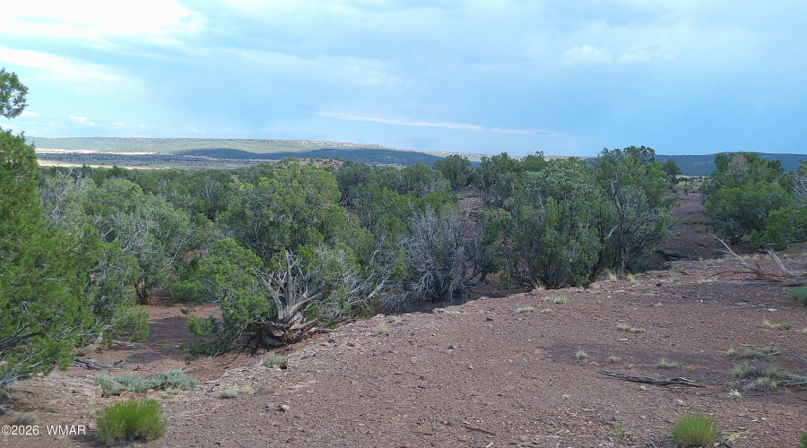 DSCF0033