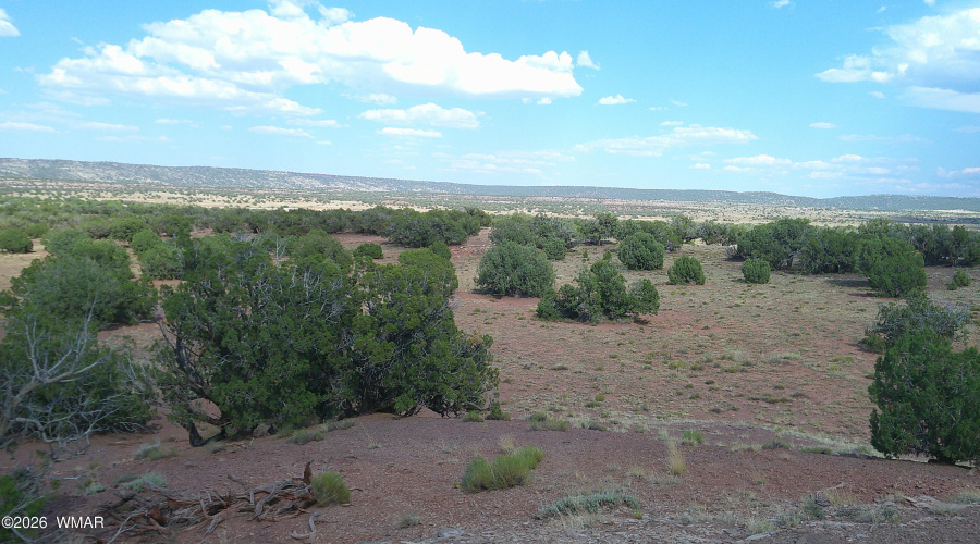 DSCF0035