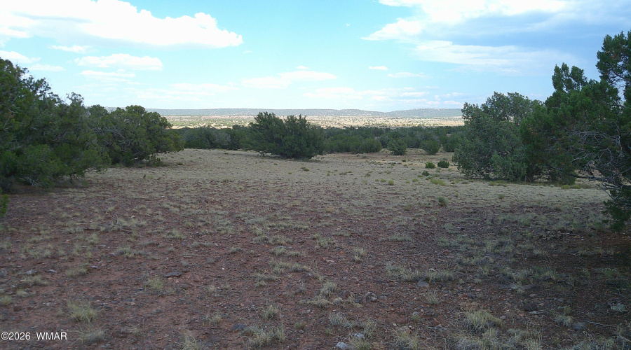DSCF0038