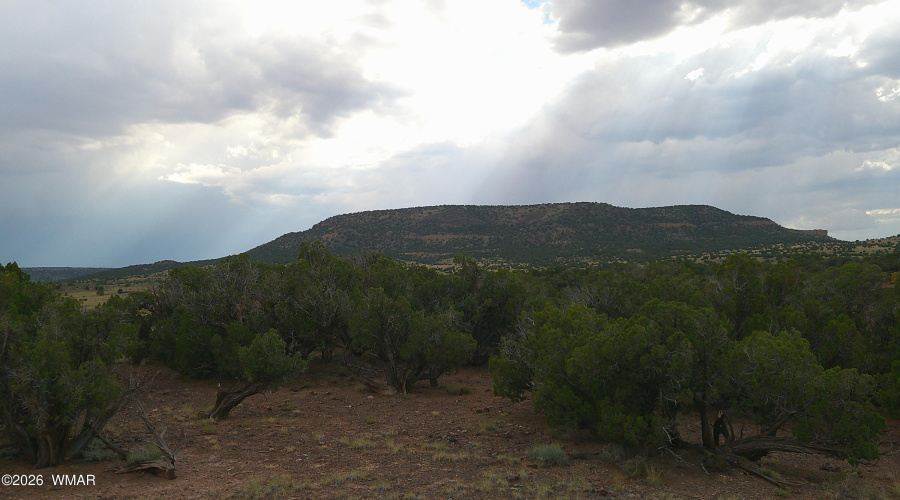 DSCF0039