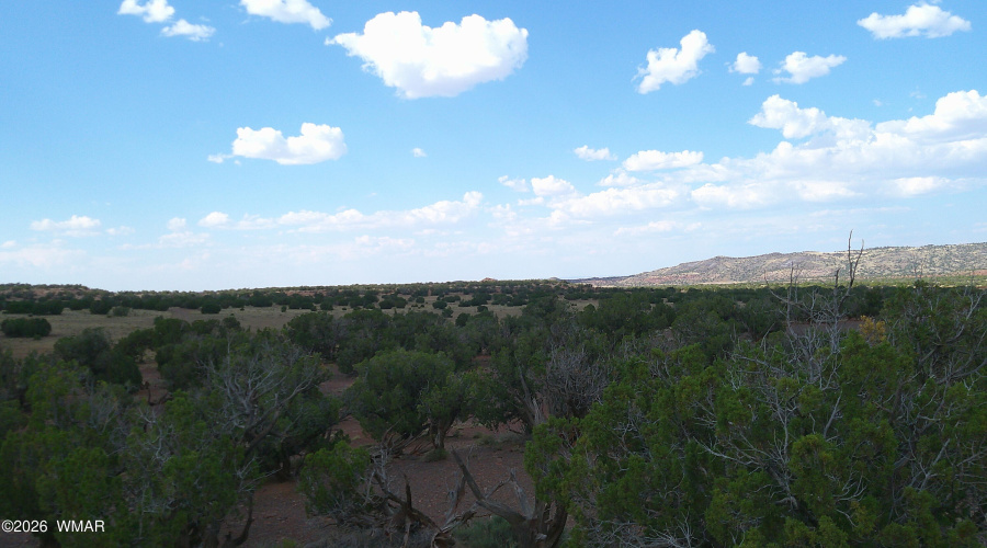 DSCF0040