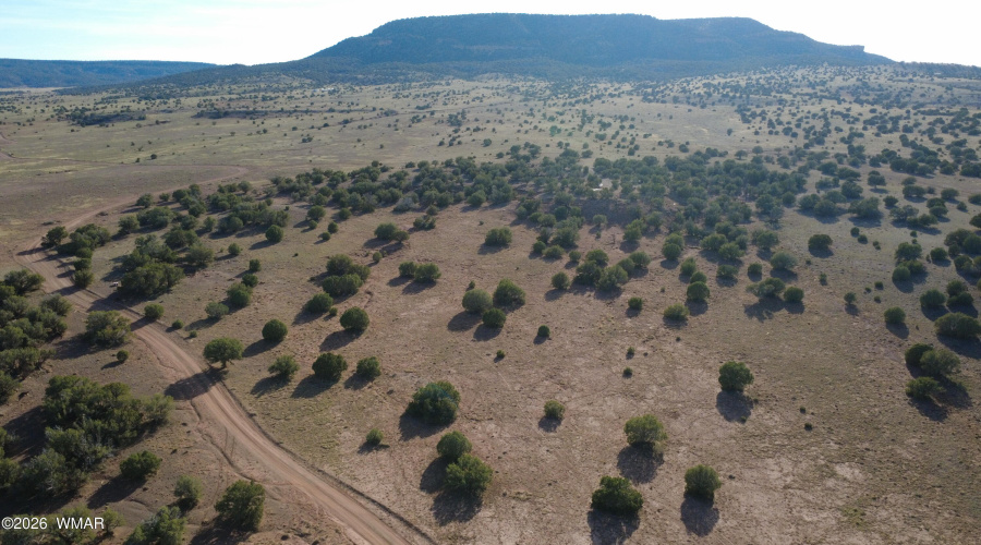 DJI_0467