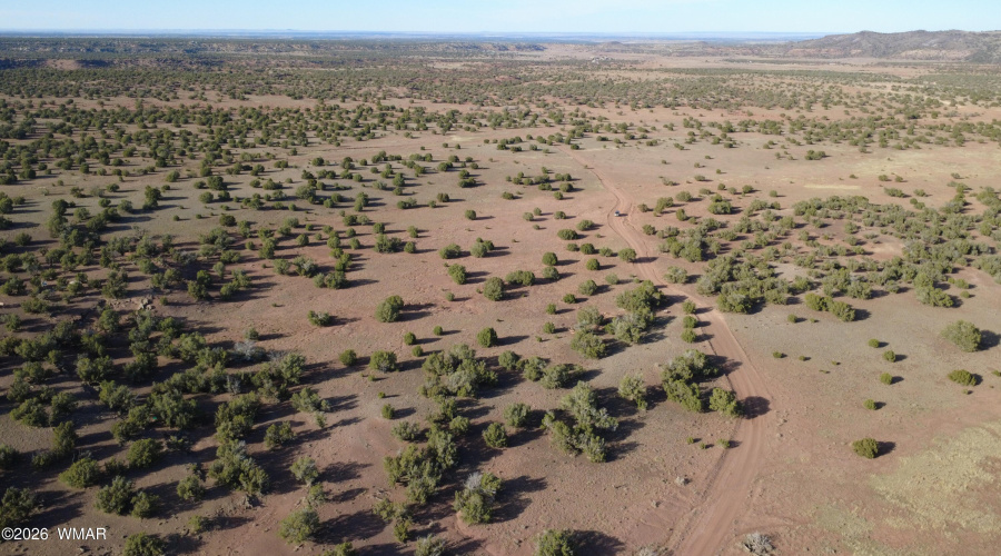 DJI_0470