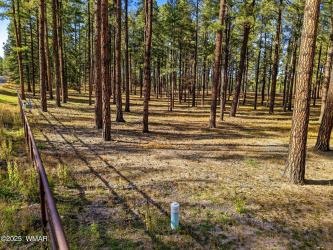 25319 US Hwy 191, Alpine, Arizona 85920, ,Land,For Sale,US Hwy 191,258727