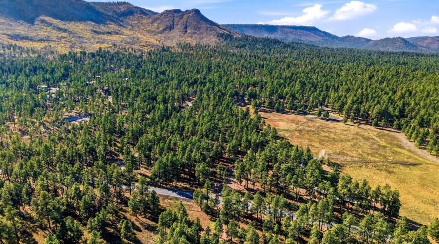 Parcel-101-15-010H-Alpine-AZ-2
