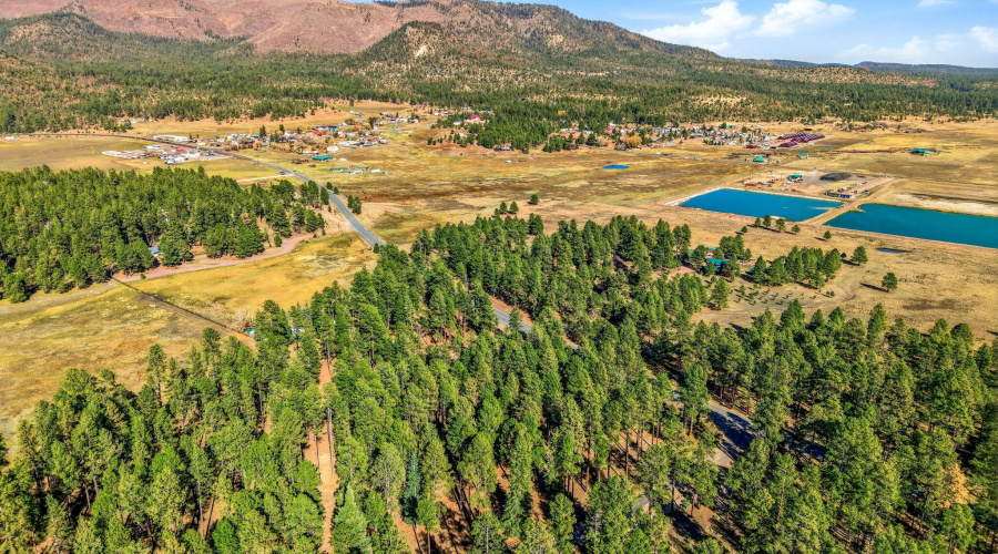 Parcel-101-15-010H-Alpine-AZ-4