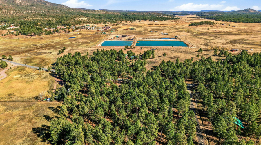 Parcel-101-15-010H-Alpine-AZ-5
