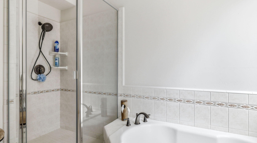 Primary Shower