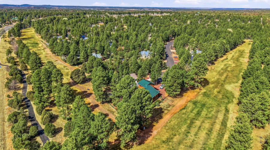 Aerial View of Fairway & Community