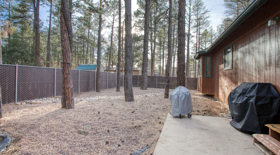 Fully-fenced Rear Yard
